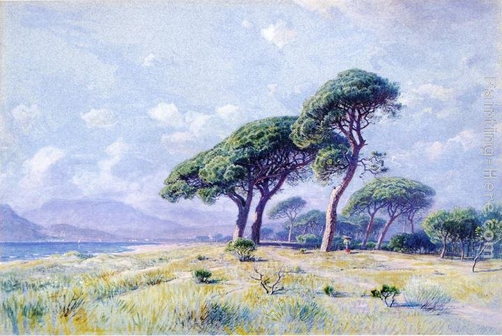 William Stanley Haseltine Cannes